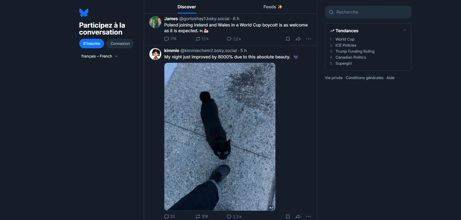 Capture d'écran de Bluesky