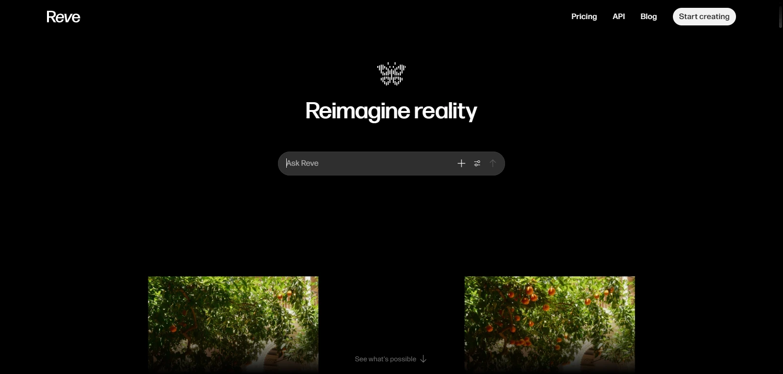 Screenshot de Reve AI